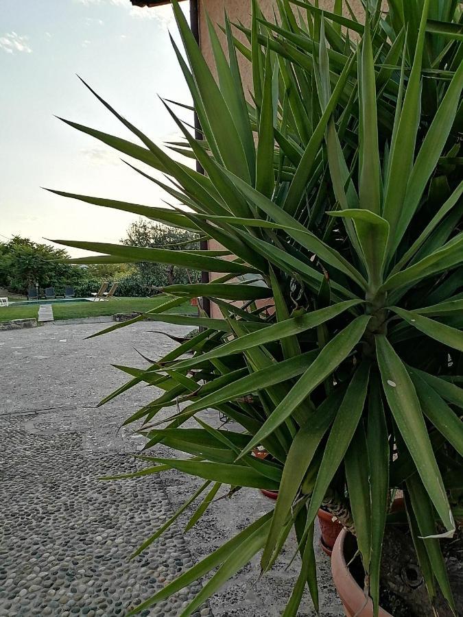 B&B Ronco Degli Ulivi Iseo Dış mekan fotoğraf