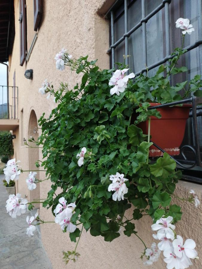 B&B Ronco Degli Ulivi Iseo Dış mekan fotoğraf