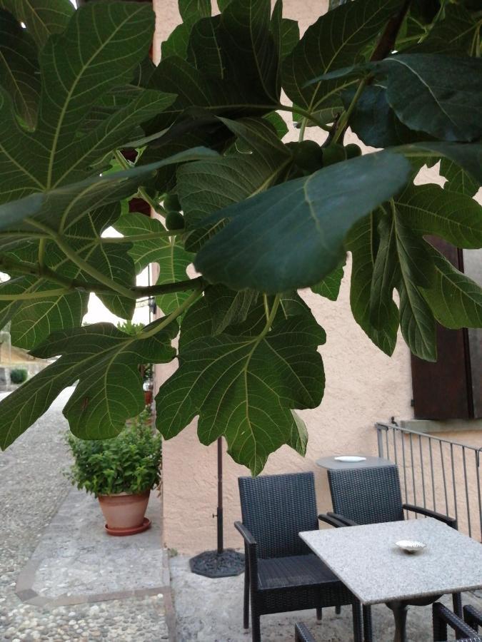 B&B Ronco Degli Ulivi Iseo Dış mekan fotoğraf